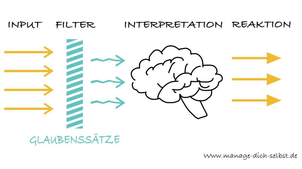 Schema der Funktionsweise von Glaubenssätzen. Ein Input wird durch einen Filter (unsere Glaubenssätze) in unserem Gehirn interpretiert und anschließend darauf reagiert.